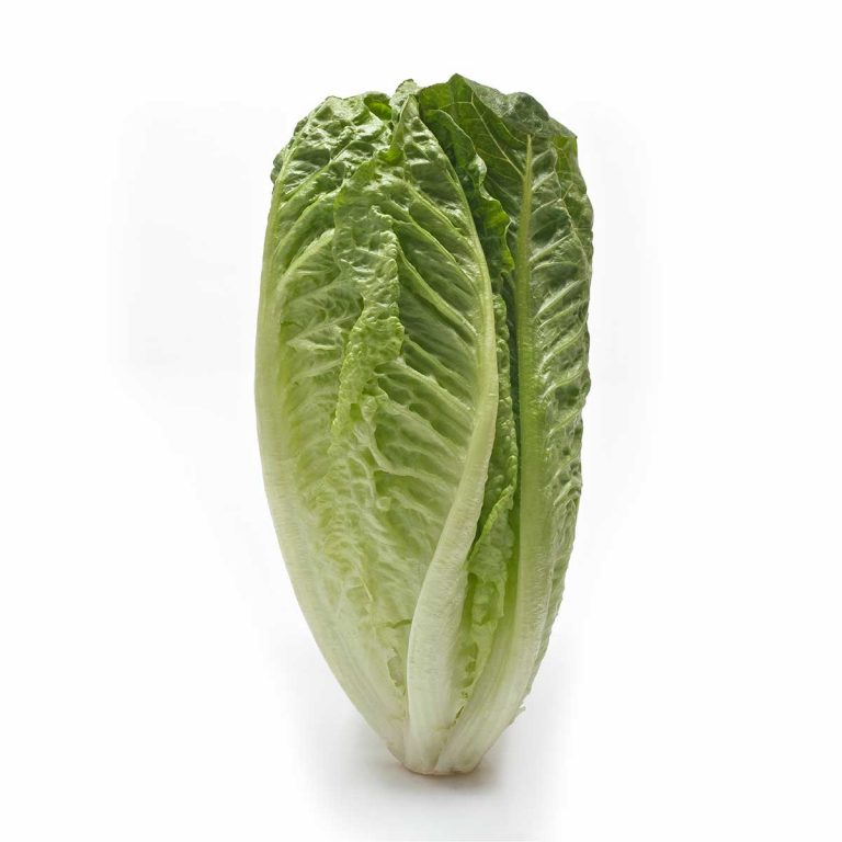 Romaine lettuce